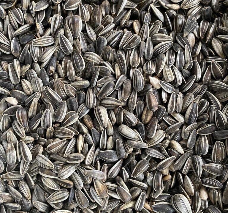 Sunflower Seeds