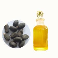 Refined jatropha oil, jatropha oil biodiesel Crude & Refined