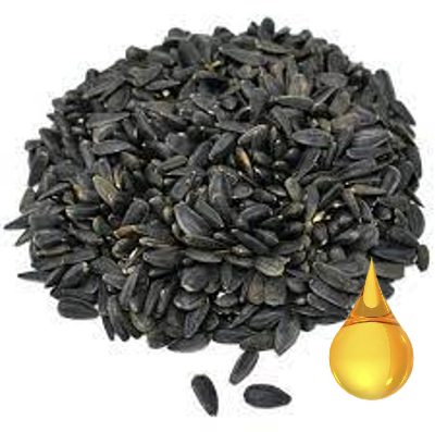 Benefits and Uses of Black Oil Sunflower Seeds 50 lbs