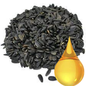 Buy Black Oil Sunflower Seeds 50 lbs - The Best Quality Seeds for Your Garden