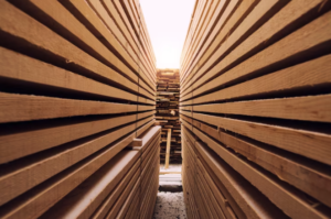 Buy Radiated Wood Lumber - High-Quality and Affordable