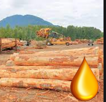  Cedar Wood Lumber Yard