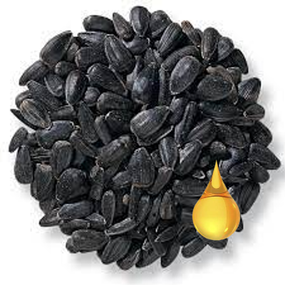 The Benefits of Black Oil Sunflower Bird Seed for Your Feathered Friends