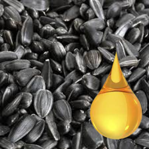 The Ultimate Guide to Buying Black Oil Sunflower Bird Seed