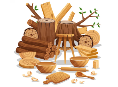 Buchenholz: Eigenschaften, Verwendung und Vorteile