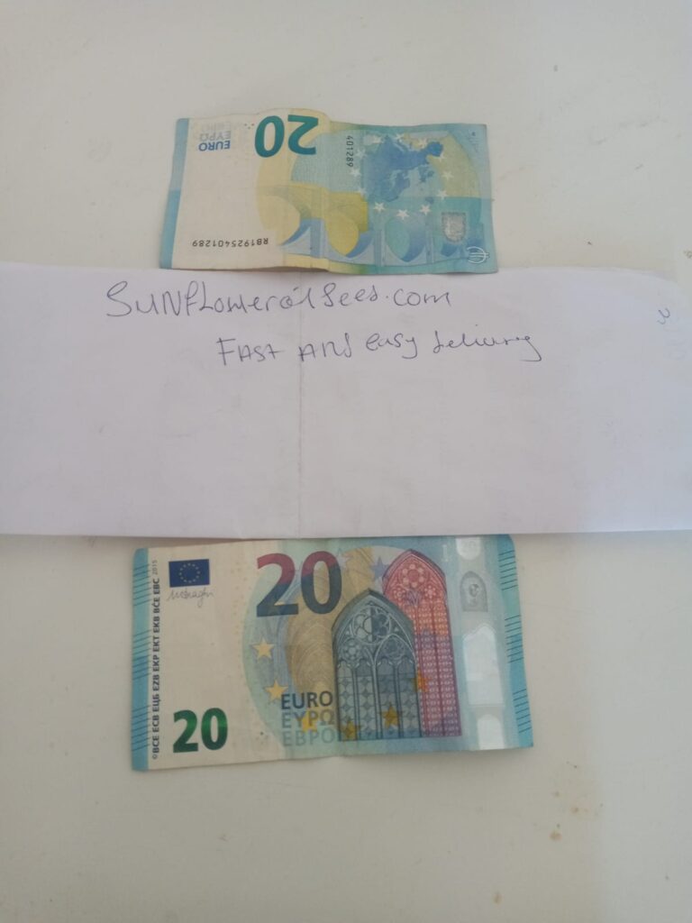 Buy Euro banknotes in Germany/ Fake money € 50 note