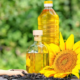 Premium quality sunflower oil