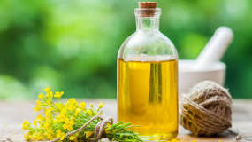 The Benefits of Cooking with Canola Oil
