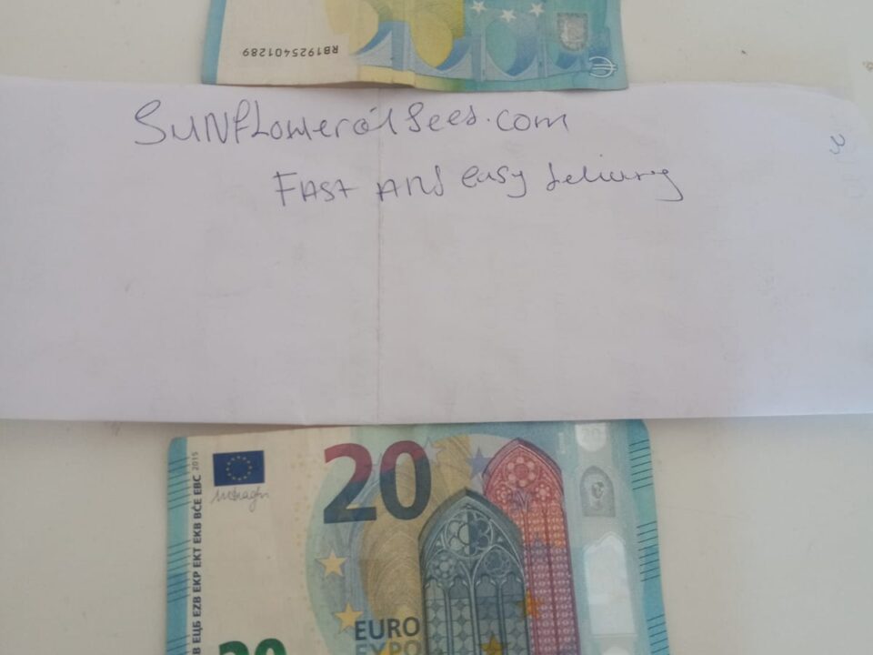 10 Euro bill