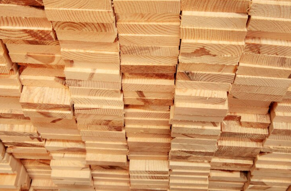 poplar  wood lumber
