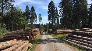 Hardwood Lumber 